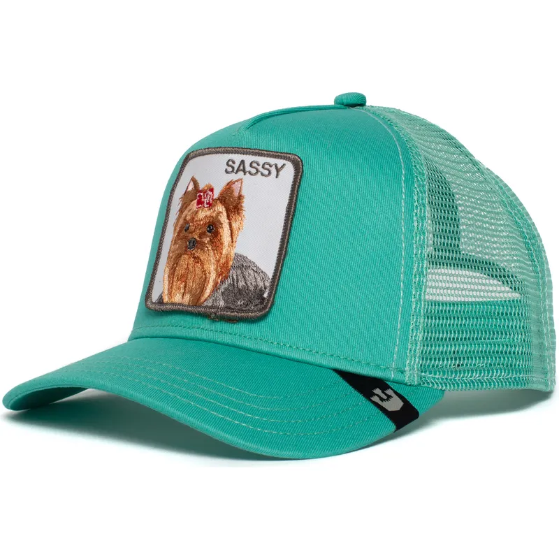 goorin-bros-sassy-lady-yorkshire-terrier-hund-grune-trucker-kappe