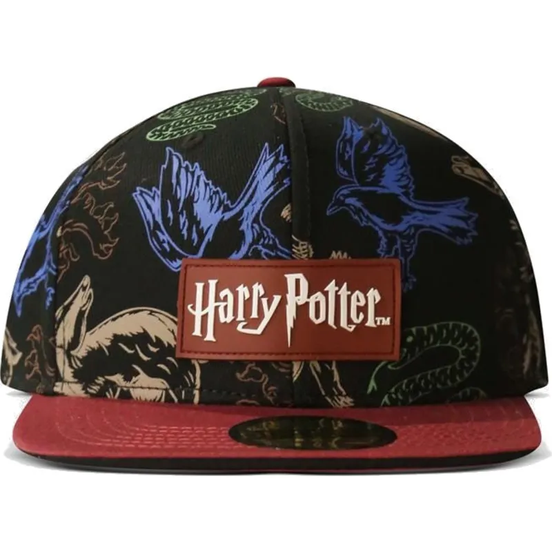 mutzen-flach-schwarz-snapback-von-difuzed mutzen-flach-schwarz-snapback-von-difuzed