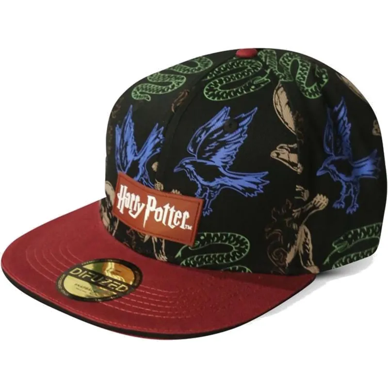 mutzen-flach-schwarz-snapback-von-difuzed mutzen-flach-schwarz-snapback-von-difuzed