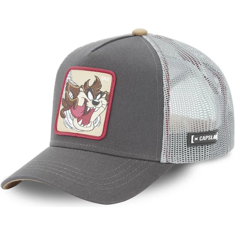 mutzen-gebogen-grau-snapback-diablo-tasmanischer-teufel-looney-tunes-von-capslab