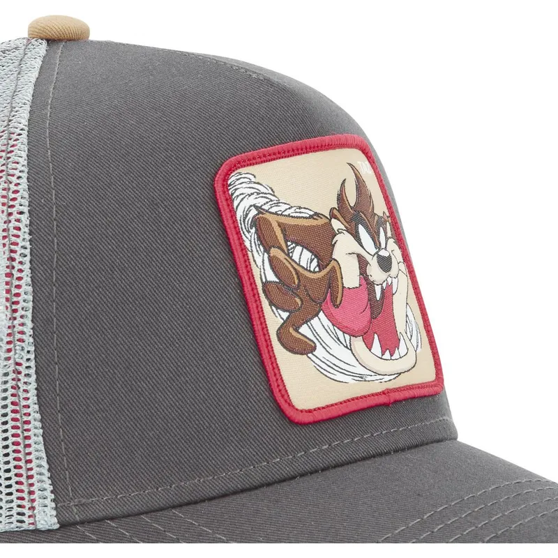 mutzen-gebogen-grau-snapback-diablo-tasmanischer-teufel-looney-tunes-von-capslab