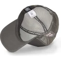 mutzen-gebogen-grau-snapback-tom-looney-tunes-von-capslab