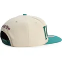 grune-und-beige-flatcap-snapback-across-the-board-von-anaheim-ducks-nhl-von-mitchell-ness