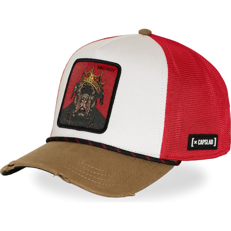 mehrfarbige-trucker-kappe-big-boy-hip-bigb-hip-hop-dogz-von-capslab