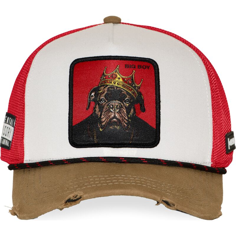 mehrfarbige-trucker-kappe-big-boy-hip-bigb-hip-hop-dogz-von-capslab