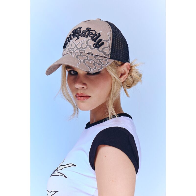 mutzen-gebogen-grau-snapback-flaming-von-ed-hardy mutzen-gebogen-grau-snapback-flaming-von-ed-hardy