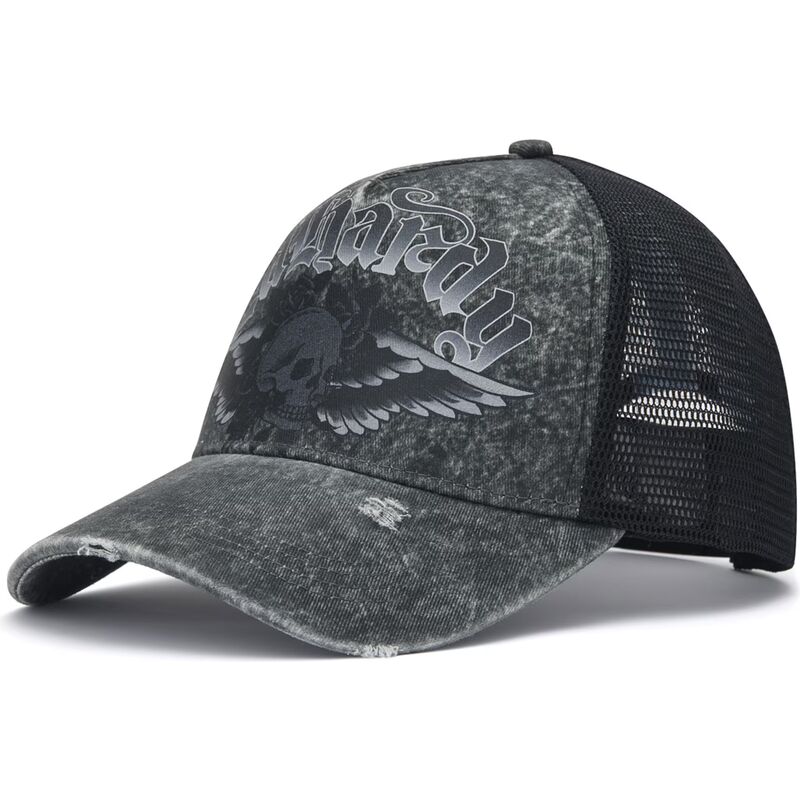 mutzen-gebogen-grau-snapback-flaming-gothic-skull-washed-von-ed-hardy